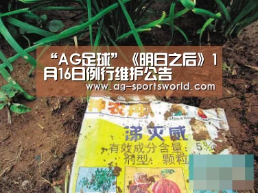 AG篮球